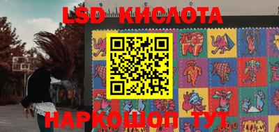 меф Краснознаменск