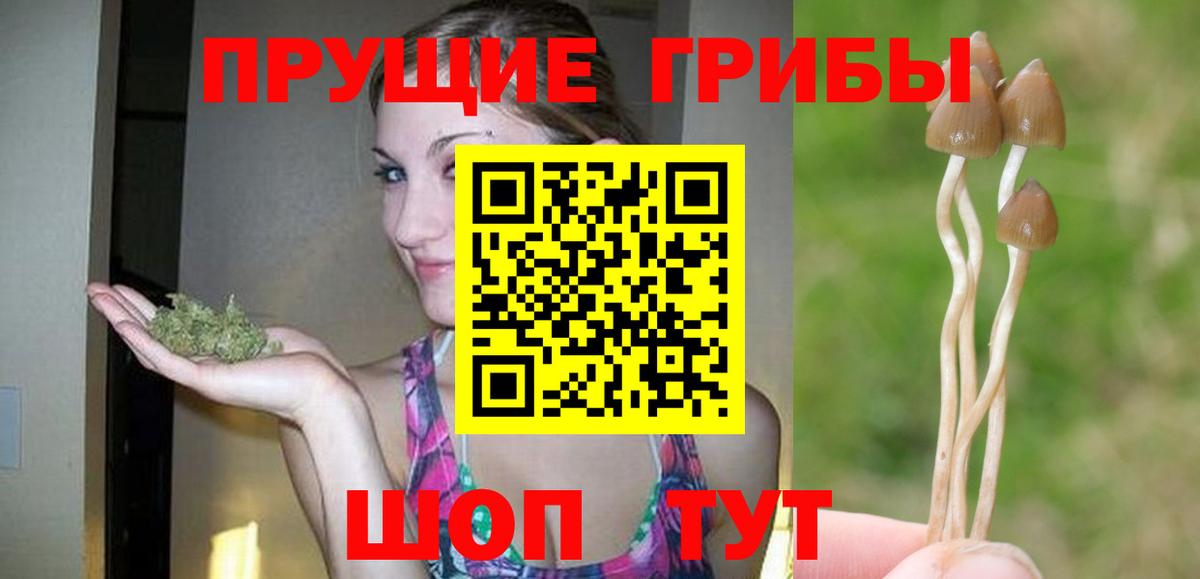 Галлюциногенные грибы мухоморы Корсаков